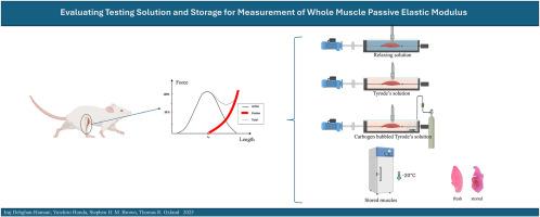 Evaluation of testing solution and storage for measuring passive elastic modulus of rat tibialis anterior whole muscle