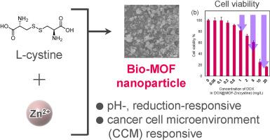 Cancer cell microenvironment-responsive bio-metal-organic frameworks for anticancer drug delivery