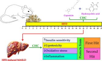Combination of hydroxycitric acid and capsaicin regulates IRS-1/AMPK-mTOR-SREBP-1c Axis/NLRP3-NF-κB/Nrf-2-ARE signaling pathways to ameliorate the two-hit process in high-fat diet-induced hepatic steatosis