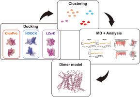 Comprehensive computational modeling and interactions mechanisms of GIPR homodimerization