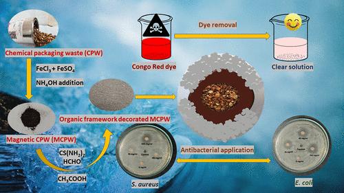 Magnetically Tuned Organic Framework-Decorated Chemical Packaging Waste for Water Decontamination and Bactericidal Application: A Win–Win Investigation Promoting Circular Economy