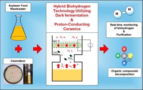 Quantitative Analysis and Purification of Biohydrogen Produced from Soybean Food Wastewater by Protonic Ceramics