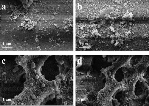 Amino-Functionalized Hydrothermal Biochar for Synergistic Removal of Cr(VI) and Mn(II): Insights into Competitive Adsorption and Redox Mechanisms