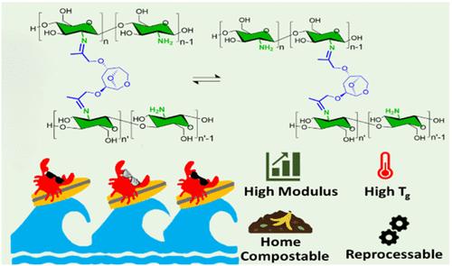 Upcycling Waste: Fully Biomass-Derived and Backyard Compostable Imine Thermosets