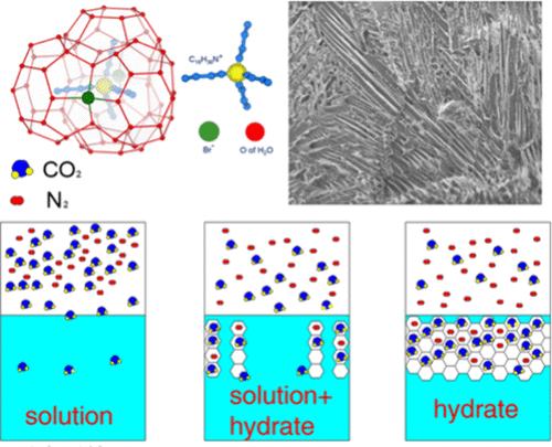 Influence of Amino Acid Compound Additives on Hydrate Formation Kinetics, CO2/N2 Gas Separation, and CO2 Capture
