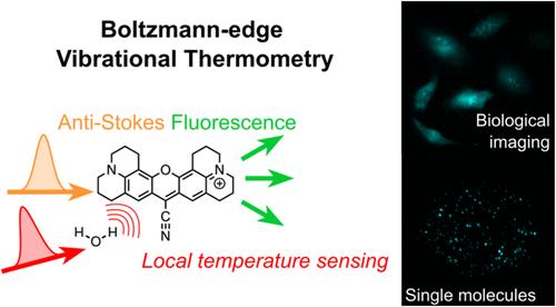 Single-Molecule Vibrational Thermometry