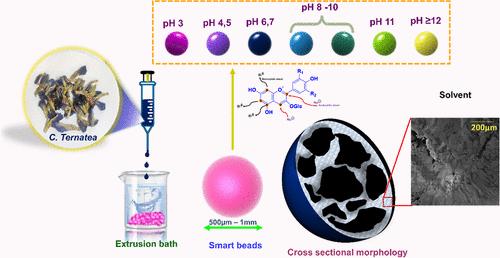 Smart pH Indicators for Sustainable Applications: Mechanistic Insights into Reusable and Leak-Resistant Anthocyanin-Loaded Cellulose Acetate Beads
