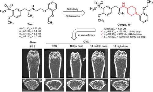 Discovery of Tamsulosin Derivatives with Shifted Selectivity from the α1-Adrenergic Receptor to ANO1 as Potent Antiosteoporotic Agents