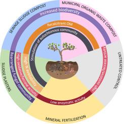 Waste-derived organic soil amendments for a sustainable vineyard management: Linking microbiome responses to soil biochemistry