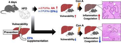 Preventive effect of eicosapentaenoic acid on the exacerbation of concanavalin A–induced liver injury aggravated by a short-term high-fat diet