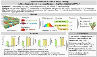 Capsicum annuum in vertical indoor farming: yield and capsaicinoid responses to reduced light and additional UV-A