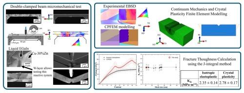 Liquid metal embrittlement of Cu-30%Zn by EGaIn: Microscale fracture toughness by in situ SEM testing