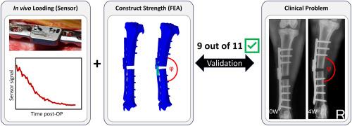 Preclinical validation of finite element models for predicting in vivo residual plate bending using continuous implant sensor data
