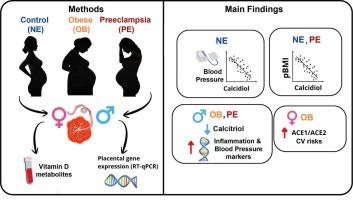 Sexually dimorphic associations between Vitamin D metabolites, blood pressure, and placental inflammatory markers in Normoevolutive, preeclamptic and obese pregnancies