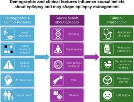 Explaining the unknown: causal illness beliefs among people with epilepsy without identified cause