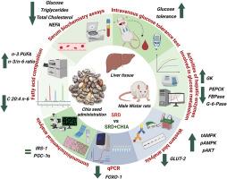 α-Linolenic acid rich-chia seed improves glucose tolerance, modulates gluconeogenic pathway and hepatic insulin signaling in an experimental model of metabolic syndrome