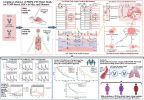 PBPK-PD model for predicting pharmacokinetics, tumor growth inhibition, and toxicity risks of topoisomerase inhibitor ADCs in mice and humans