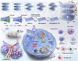 Mitochondria-targeted MXene@MnO2-TPP nanoheterostructures for synergistic enhancement of sonodynamic therapy and immunotherapy in osteosarcoma
