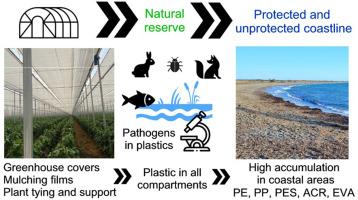 Beyond the greenhouse: The spread of plastic pollution from an intensively cultivated agricultural area