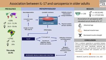Association between IL-17 and sarcopenia in older adults