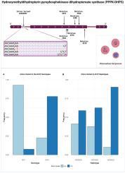 A novel intron variant is associated with emerging pfdhps mutant haplotypes in West and Central African Plasmodium falciparum