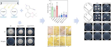Premature termination codon mutations in osmosensor-like histidine kinase FgOs1 endow Fusarium graminearum with fludioxonil resistance