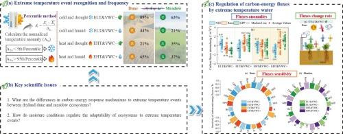 Mechanisms underlying the impacts of extreme temperatures on carbon and energy fluxes in dryland ecosystems
