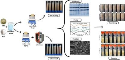 Ultrasound-intensified wet-heating induced Maillard reaction between hemp cake protein and maltodextrin: Structural characterisation, techno-functional and antioxidant properties