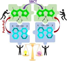 All-orthogonal BINOLated BODIPY dimers: A synergistic strategy for advancing heavy-metal-free triplet photosensitizers