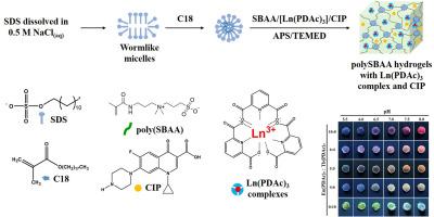 Multifunctional poly(sulfobetaine acrylamide) hydrogel integrating robust mechanical properties, pH-triggered multicolor fluorescence, and antibacterial efficacy