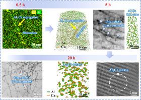 Defect-solute cooperativity mediated evolution of microstructure and mechanical properties in pre-deformed lean Mg alloys during aging