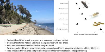 Spatial patterns of sandy beach habitat use by mobile invertebrates vary with wrack type and tide phase
