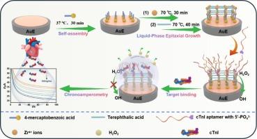 Liquid-phase epitaxial grown UiO-66 as a bifunctional platform for electrochemical Aptasensing of cardiac troponin I