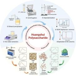 Huangshui polysaccharides from baijiu fermentation by-products: Emerging structures, functional activities, structure-function relationships and green valorization perspectives