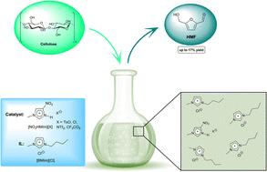 Nitro-functionalized imidazolium salts as acidic catalysts for cellulose degradation in ionic liquids
