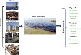 Minimizing oil pollution: a review of current status and its treatment options