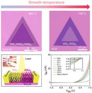 Tunable bilayer WS2–WSe2 and WS2–MoS2 lateral heterostructures for self-powered photodetectors