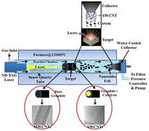 Femtosecond laser processing of carbon nanotubes: synthesis, surface modification, and cutting