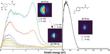 Excited-state dynamics of cinnamate-based UV filters: bringing decay pathways to light by photoelectron velocity map imaging