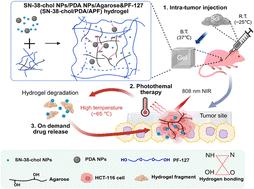 SN-38-cholesterol NPs-loaded PDA NPs/agarose & pluronic F-127 hydrogel system for controlled chemo-phototherapy in tumor-localized treatment†