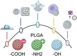 End group chemistry modulates physical properties and biomolecule release from biodegradable polyesters