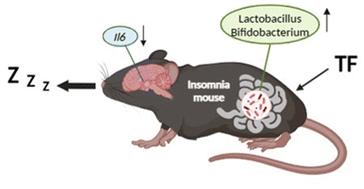 A non-pharmacological intervention for insomnia: tryptophan-fructooligosaccharides combination improves sleep in mice via anti-inflammation and gut microbiota modulation