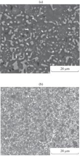 X-ray Studies of Tungstenless Hard Alloys Derived from Electroerosive Hard-Alloy Powders