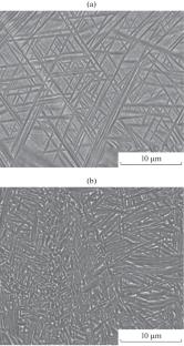Improvement of the Service Properties of a VT20 Titanium Alloy by Static-Pulse Treatment
