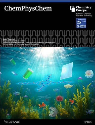Cover Feature: Porphyrin–Peptide Conjugates: Functional Self-Assembled Nanomaterials for Biomedical and Energy Conversion Applications (ChemPhysChem 16/2025)