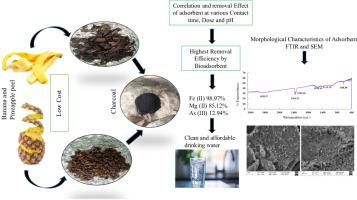 Removal of iron, manganese, and arsenic from groundwater by using banana and pineapple peel charcoal: evidence from sophisticated techniques