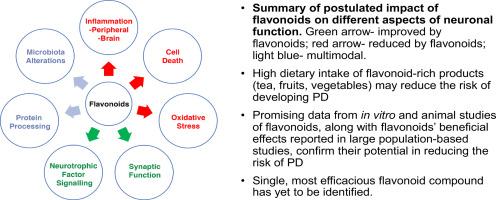 Flavonoids and related compounds targeting pathomechanisms of Parkinson’s Disease – from bench to bedside: A focused review of current perspectives, clinical trial outcomes, and future directions