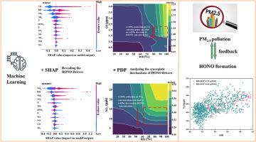 Driving factors of HONO and their synergy in Hohhot, a semi-arid city in northern China: Insights from interpretable machine learning approaches