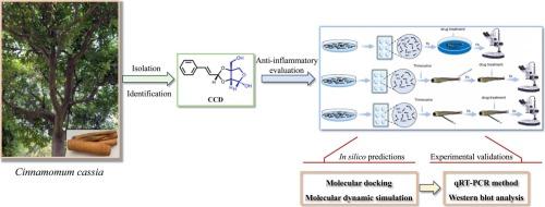 Cinnacassdiol, a novel anti-inflammatory phenylpropanoid from Cinnamomum cassia barks: Insights from an integrated in vitro, in vivo and in silico investigation