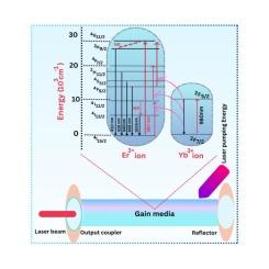 The impact of Yb3+ ions concentration on the structure and NIR luminescence of Er3+ doped niobium based phosphate glasses